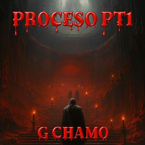 PROCESO PT1