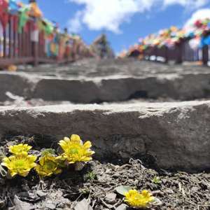 因为你所深爱着的