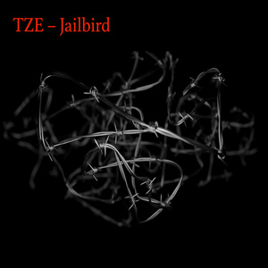 Jailbird