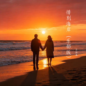 惜别海岸（乐部版）