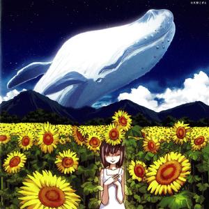 水の镜/ Choro Club