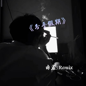 田自浩-分手假期（刘亦晨 remix）