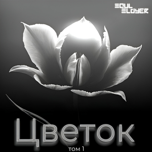 Любопытство