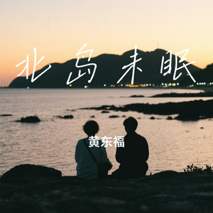 北岛未眠