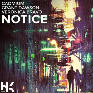 Notice (feat. Grant Dawson & Veronica Bravo)