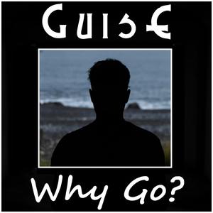 Why Go?