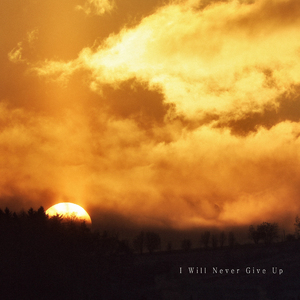 I Will Never Give Up