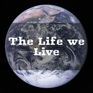 The Old Man Rethink His Life