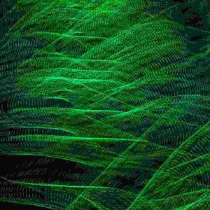 我是老虎你是猫