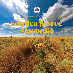 Gajdaško Kolo "Ja Sam Cura Šokačka"