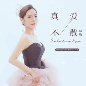 真爱不散 (DJ版)