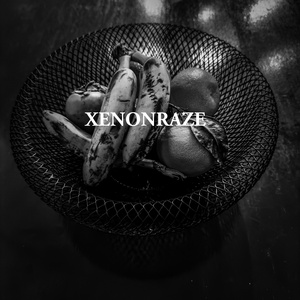 Let's take a walk along the autumn road