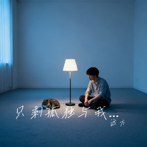 只剩孤独与我相伴