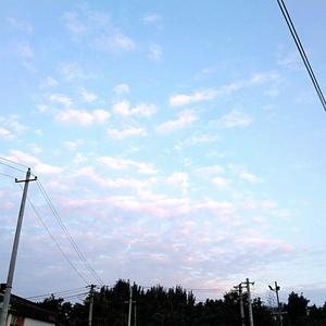 你是我最愚蠢的一次浪漫