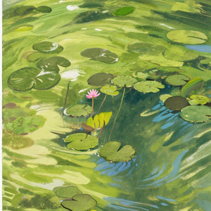 陷入夏天的梦境