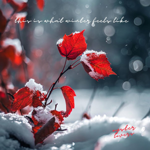 this is what winter feels like (Piano Version)