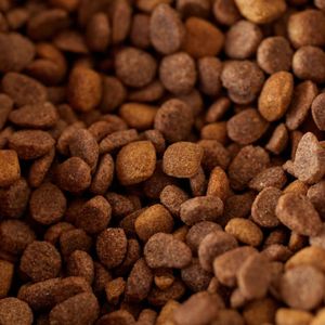 プロテイン (Food Music)