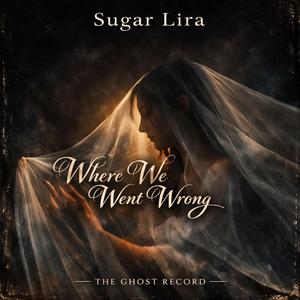 Where We Went Wrong (feat. Alpha Synth, SubPilot & Çetinzor)