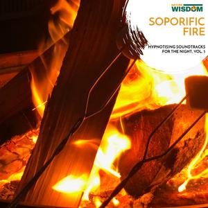 Calm Nature of Jungle