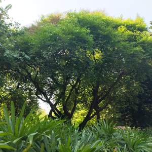 秋风吹过的时光