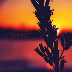 Reflections