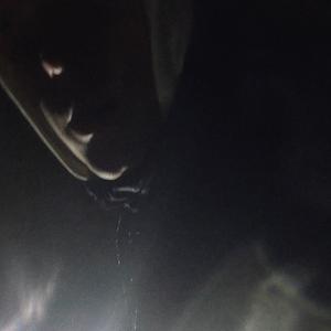 NOISE
