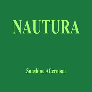 Sunshine Afternoon