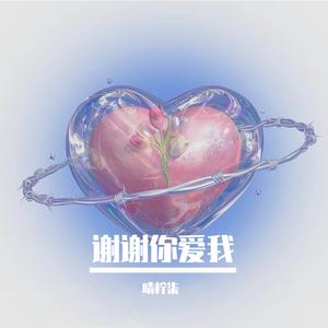 谢谢你爱我（独享版）