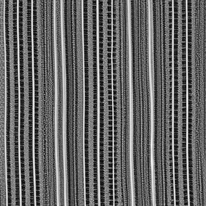 DAY DRINKING (Cover)