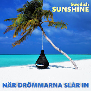 När drömmarna slår in