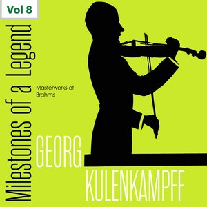 Violin Sonata No. 3 in D Minor, Op. 108:I. Allegro