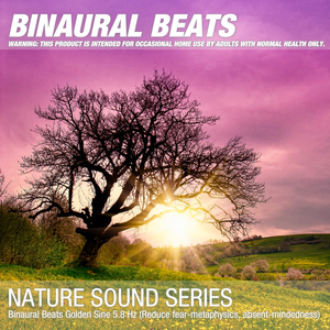 Binaural Beats Golden Sine 5.8 Hz (Reduce fear-metaphysics, absent-mindedness) 01