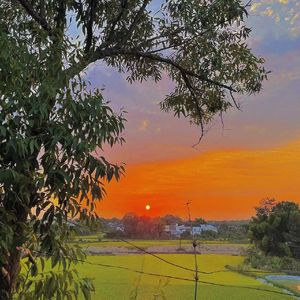 你是童话中的落日晚霞