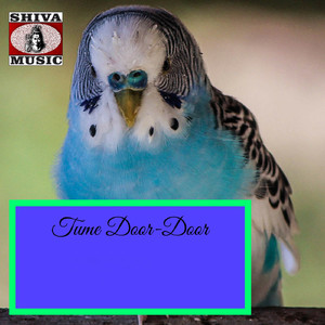 Kottha Tomay