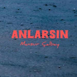 Anlarsın