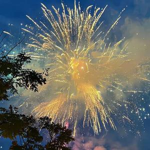 我的爱一直很安静