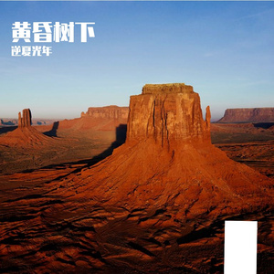 黄昏树下
