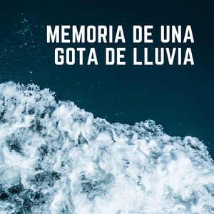 Meditemos Con Lluvia
