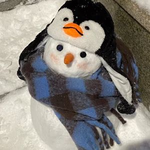 初雪