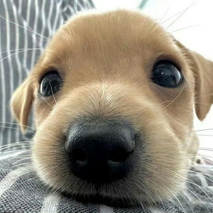 勇敢一点 - 2025:11:1 16.40