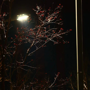 爱是自由意识的沉沦