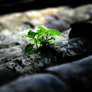 Sydän muistaa kaiken