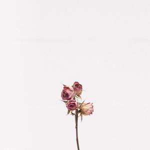 カタオモイ/单相思