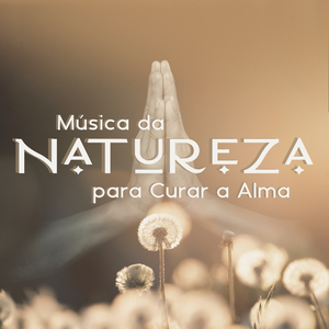 Cair no Sono Adormecer