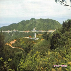 赤胆忠心永不变