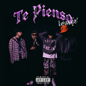 Te Pienso (Remix)