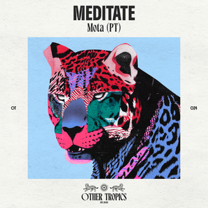 Meditate