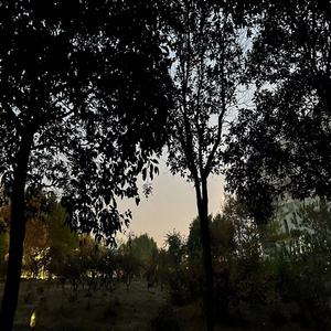 夏夜微凉 静谧疗心 (钢琴曲)