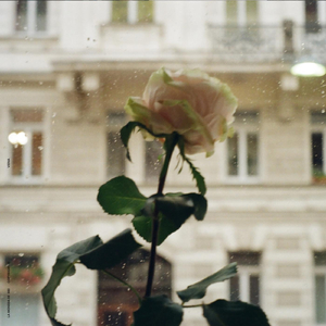 Viena