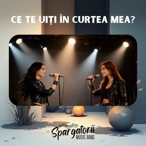 Ce te uiti in curtea mea